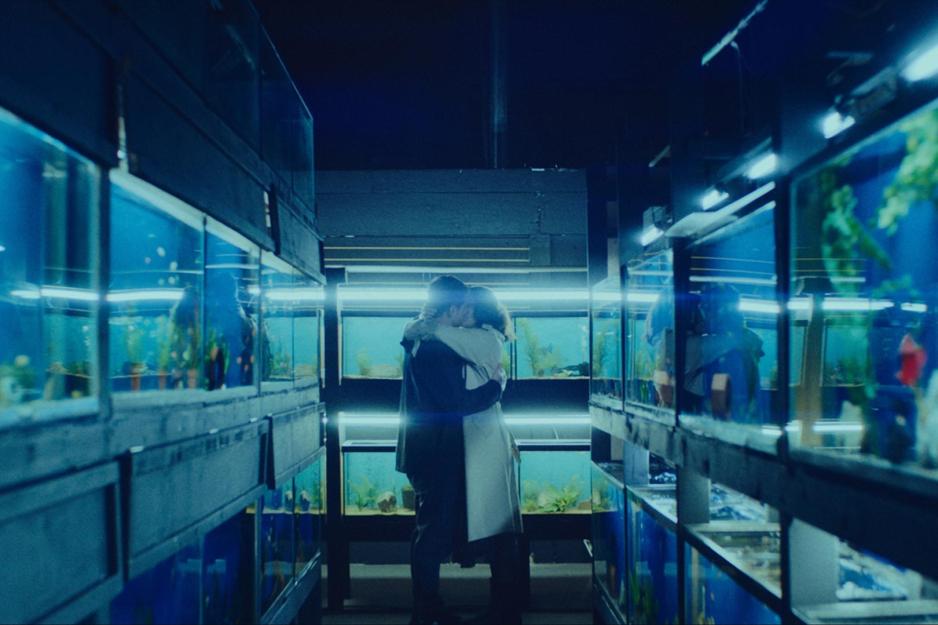 Woman and man kiss surrounding by fish in fishtanks