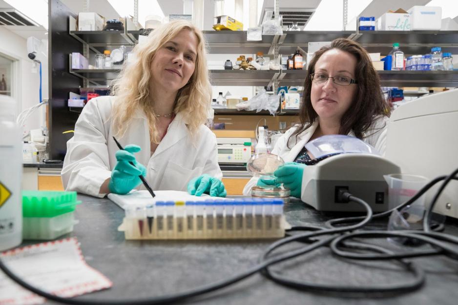 Melissa Kendall, left, and Beth Melson work in a lab together