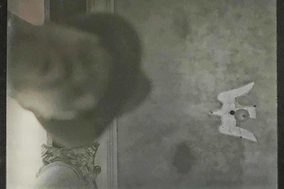 Blurry image with a bird on a wall