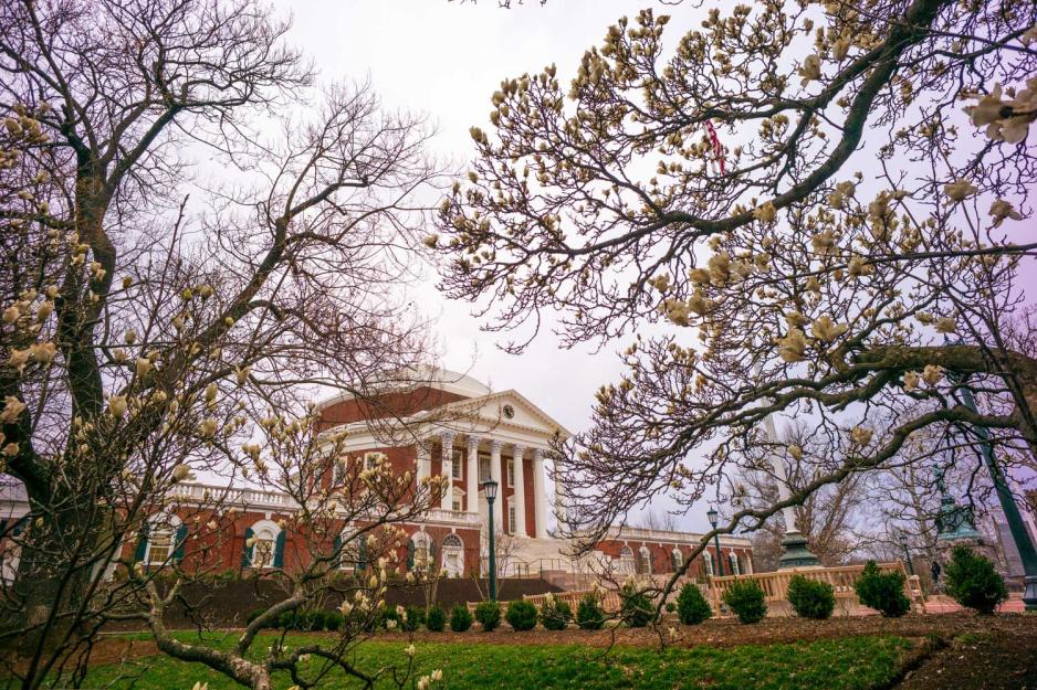 The Rotunda through the budding trees