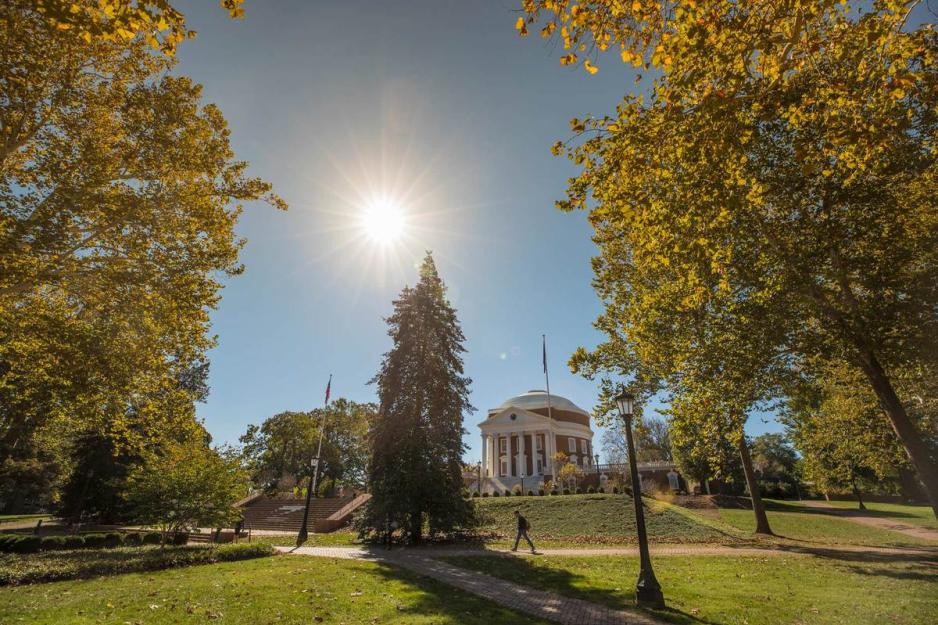 Sun rising above a pine tree in front of the Rotunda