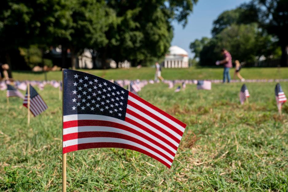Mini US Flags on the Lawn