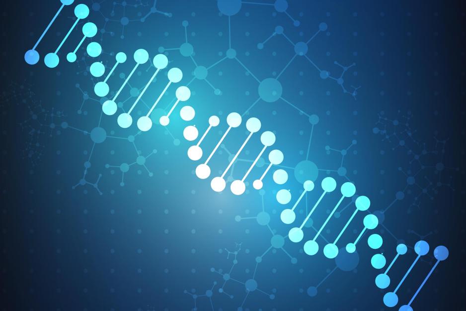 DNA helix