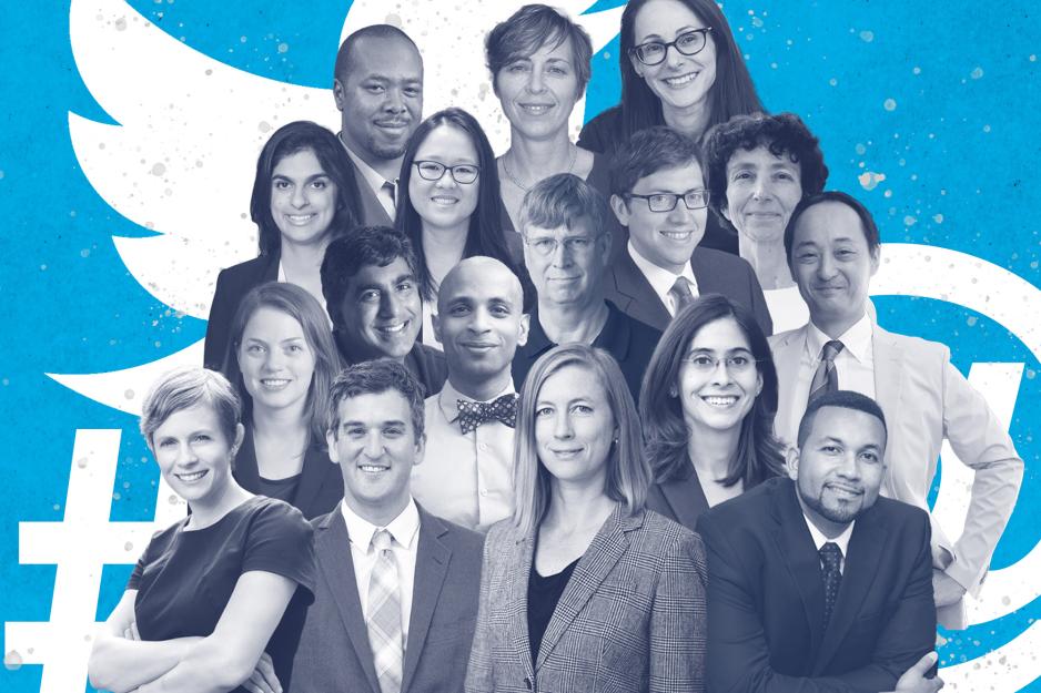 Collage of law faculty member headshots
