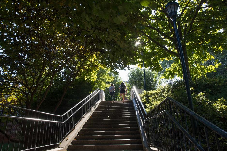 Stairs on grounds