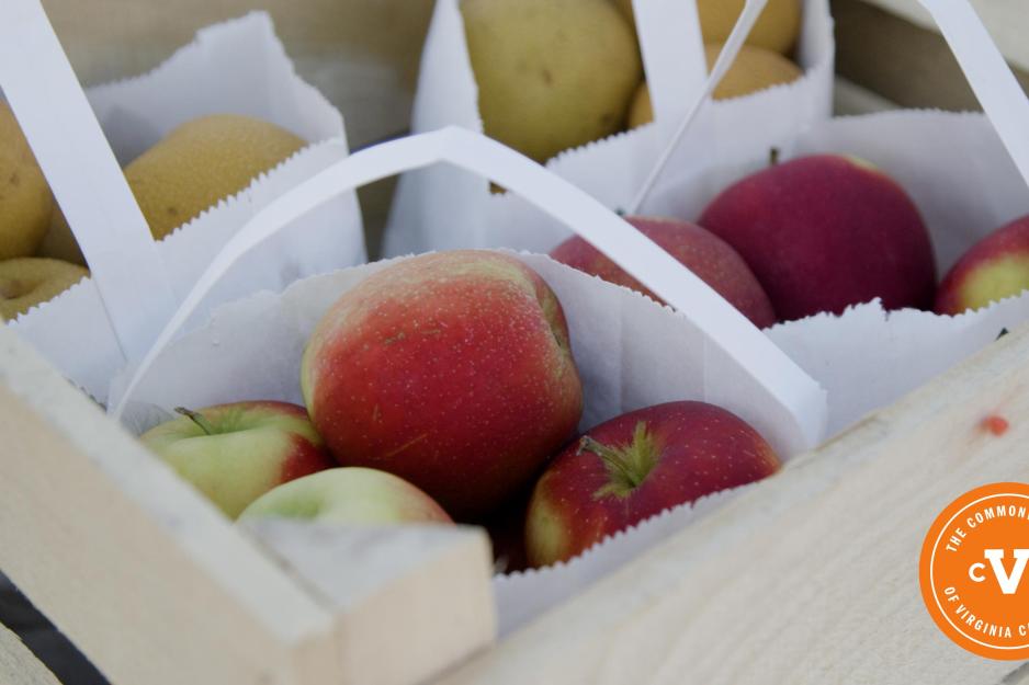 Freshly picked apples in paper bags
