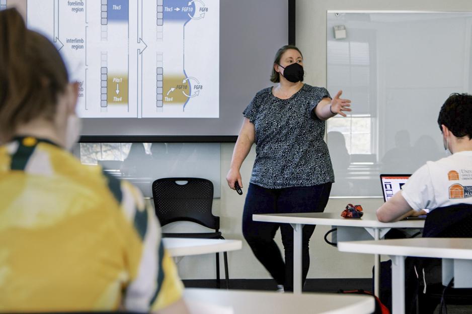 Professor teaching at the front of the class 