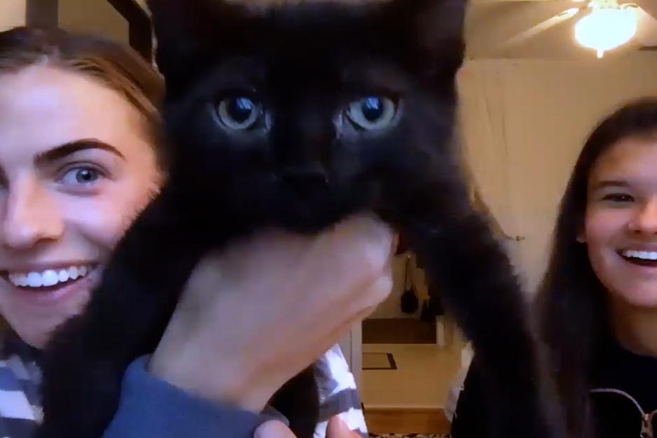 Two students hold black cat into their camera
