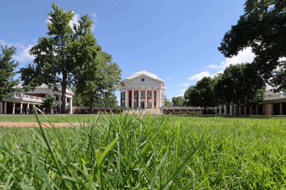 A ground eye view of the Lawn looking towards the Rotunda