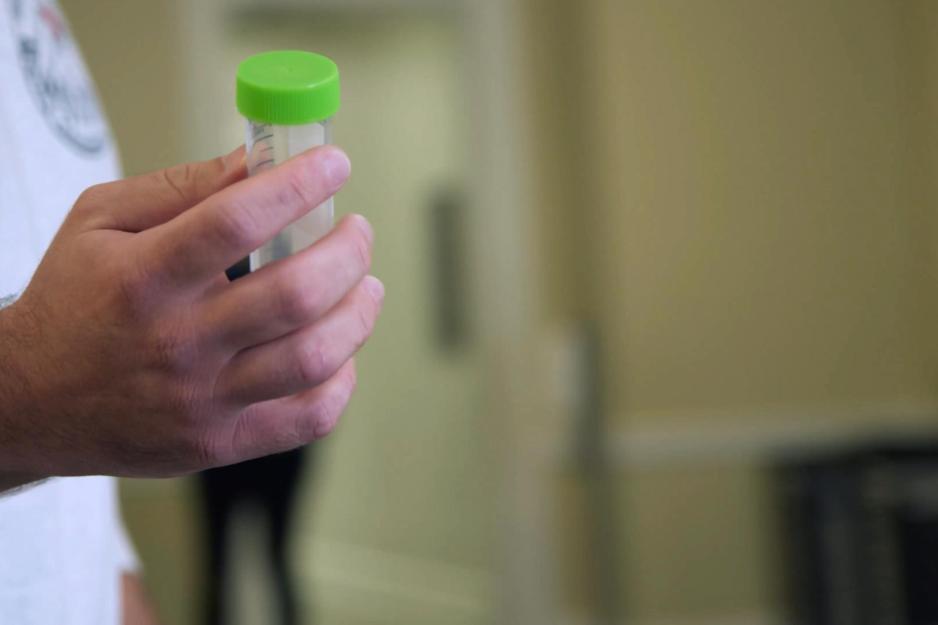 person holding a test tube