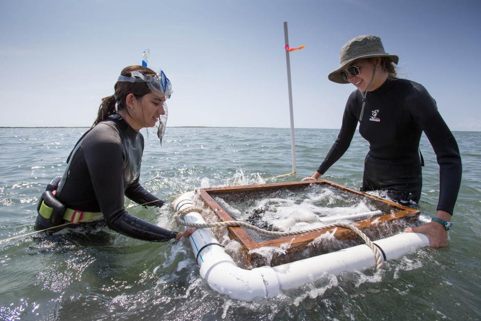 Two people in wetsuits holding a structure in the water
