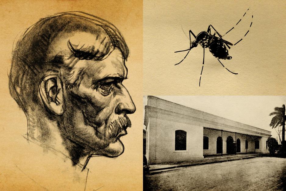 Left: Walter Reed profile sketch Top Right:  Misquitoe Bottom Right: Animal hospital in Havana cuba