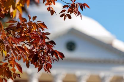 Focus on red leaves with the Rotunda in the background out of focus