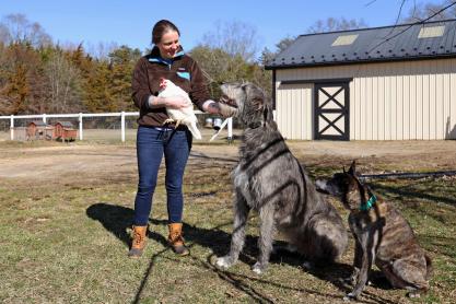 Lieutenant Maeve O’Neil holding a chicken while petting her giant dog.