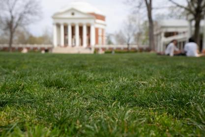 Close up of green grass on the UVA Lawn. The Rotunda and a group of students are out of focus in the background.