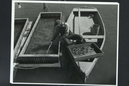 A scan of an image from the 50s of a crab float
