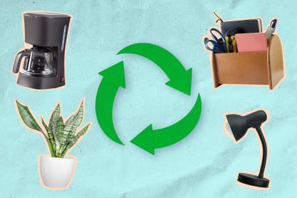 A illrated collage of sustainable items to decorate your dorm with