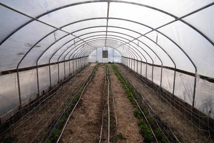 image of a hoop house