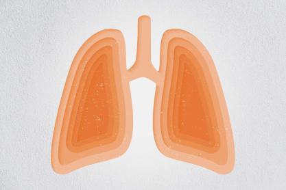 Illustration of orange lungs on a gray background