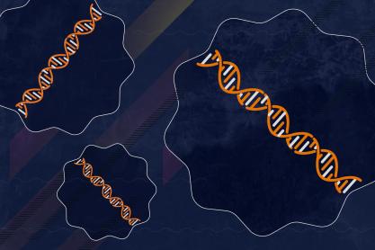 Illustration of DNA inside of a squiggly lined circle
