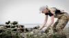 Video: Preserving Life on a Sand Bar