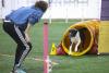Kira Baugh has been training her dog, Riley, in agility, an event in which a handler guides their dog through an course of 14 to 20 obstacles. 
