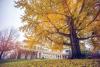 UVA Will Facilitate Governor’s New Environmental Justice Advisory Council
