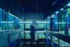 The upcoming film “Little Fish,” based on a story by Aja Gabel, considers: without shared memories, what is the nature of love? (Courtesy of IFC Films. An IFC Films release.)