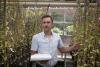 Matt Koski studies the relationships between plants and their pollinators. 