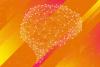 UVA Makes Surprising Discovery About Neurons, Our Irreplaceable Nerve Cells