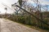 Hurricanes can wreck electric power systems. New research demonstrates that modernizing power grids with more renewable energy sources will cost less than repairing such catastrophic damage.  