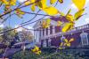 UVA Alumnus Earns Mitchell Scholarship to Study in Ireland