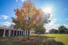 UVA, W&M to Partner on 10-Year Goal of Achieving Carbon Neutrality 