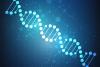 Researchers Coalescing From Many Fields in Emerging Area of Synthetic Biology