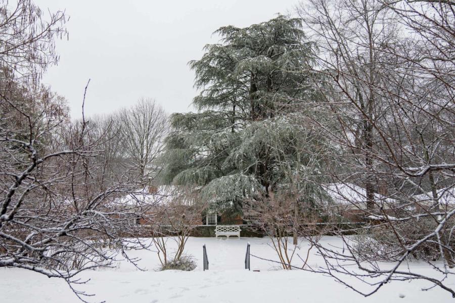 A snowed over garden on Grounds