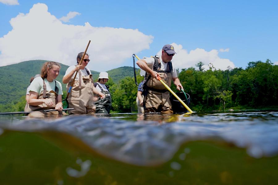 Dave Neely teaches a class of UVA students in the field at Mountain Lake, VA