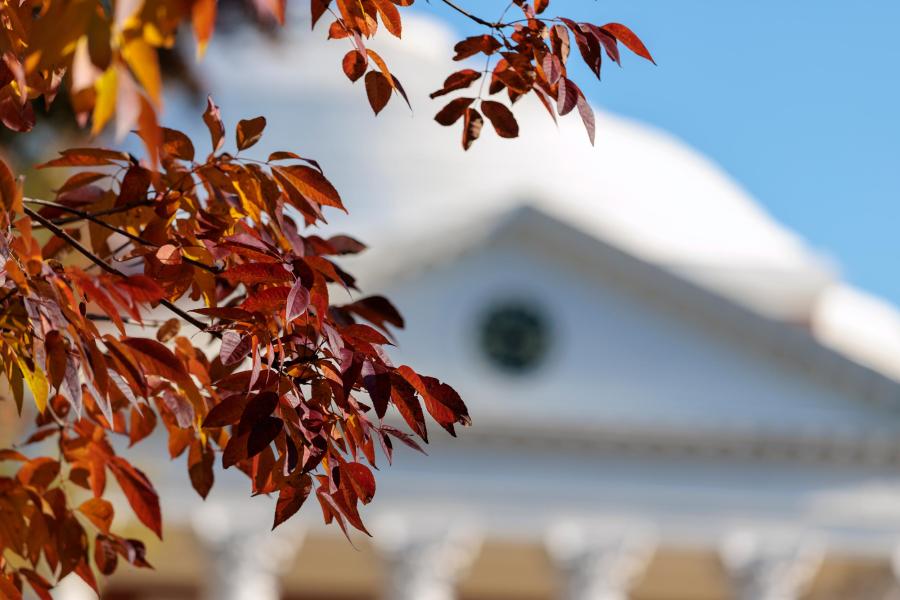 Focus on red leaves with the Rotunda in the background out of focus
