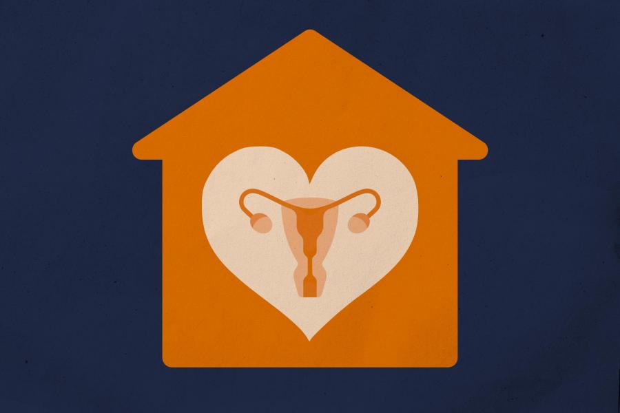 An illustration of a female reproductive system inside of a heart shape inside of a house shape