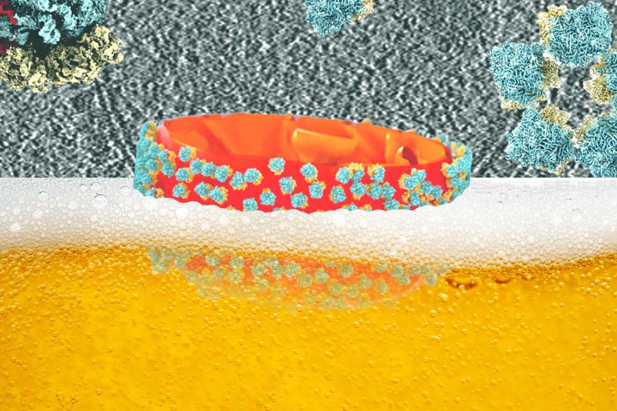 An illustration of a cancer cell floating in a beer glass