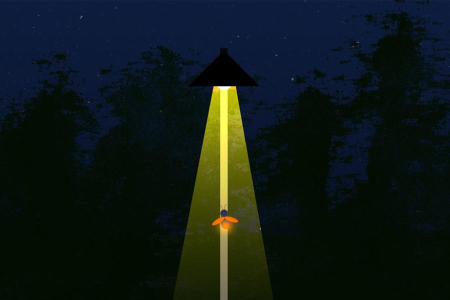 A lone firefly under a street lamp illustration