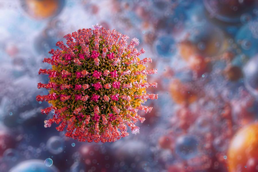 Close up of the measles virus