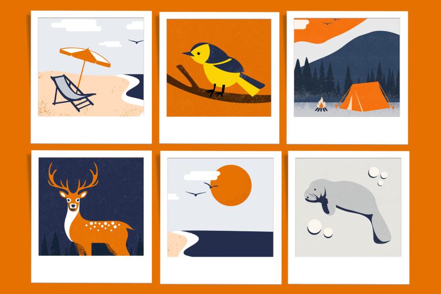 illustration of vacation photos taken with an instant camera