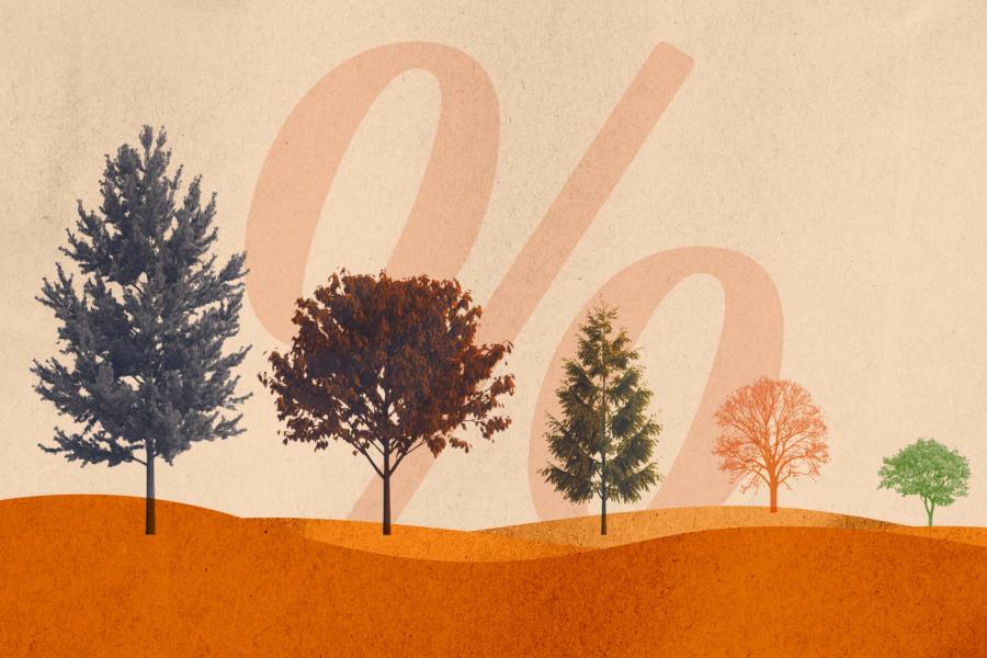 A landscape of Virginia native trees with a percentage symbol in the background