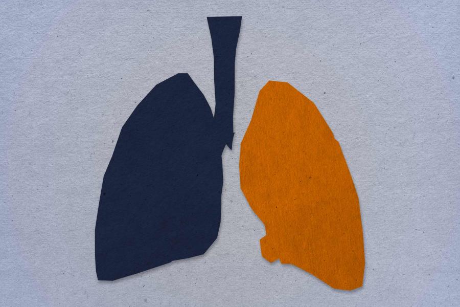 Felt lungs on a paper texture background