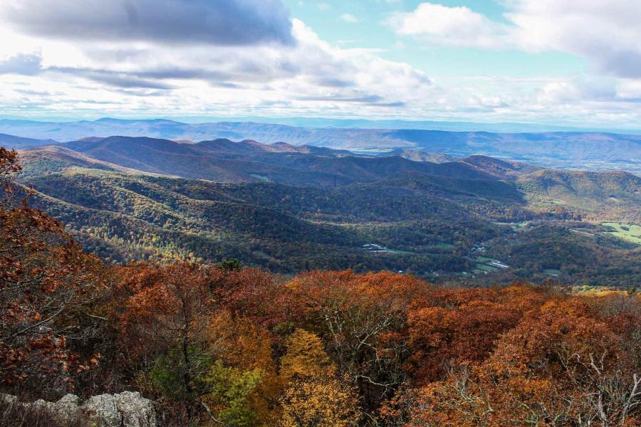 Trees turning bright orange during the fall as clouds cast shadows on the mountains of the Blue Ridge