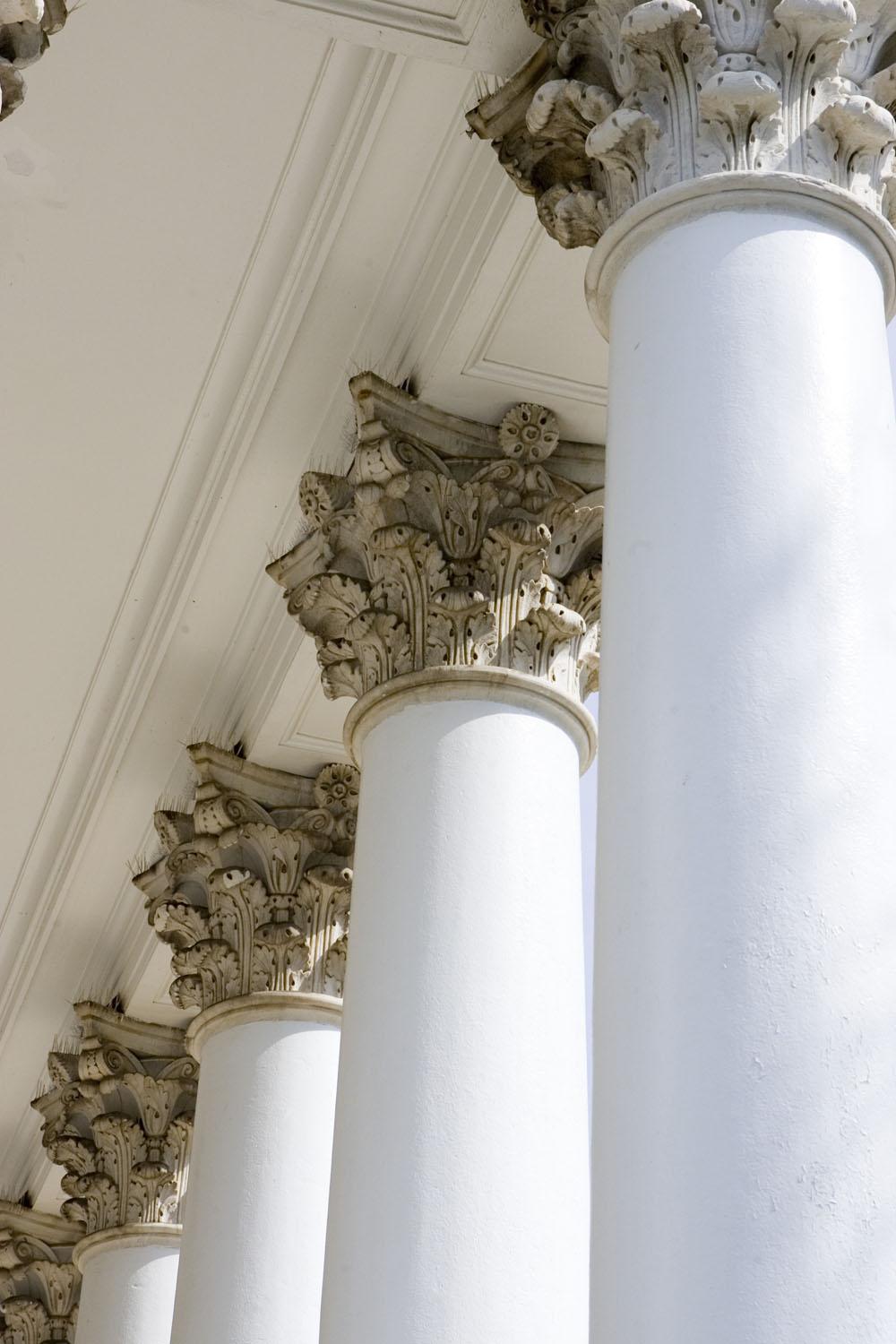 The capitals atop the Rotunda's columns were shrouded in protective netting after it was discovered that they were crumbling. (Click for high-res version)