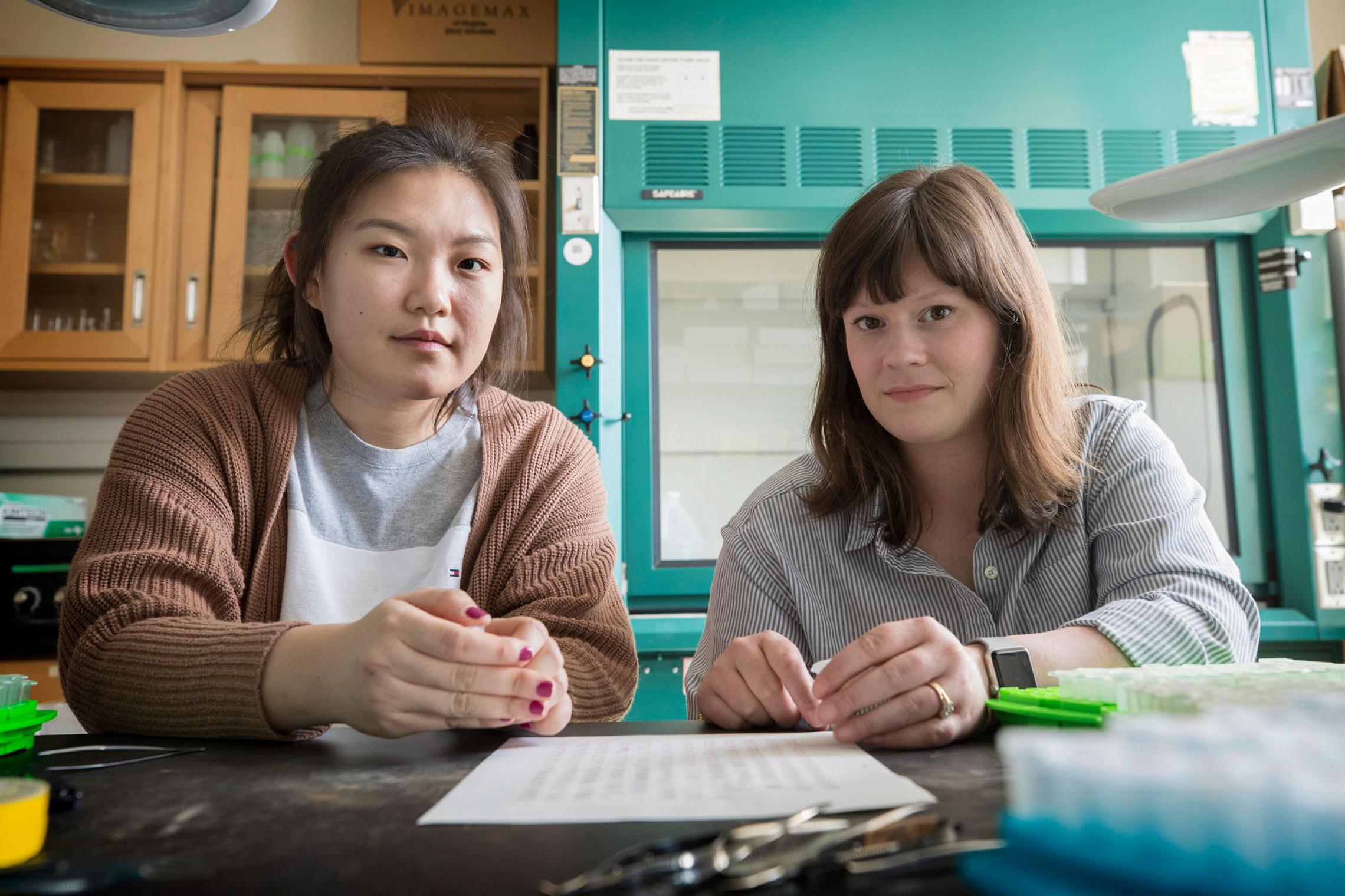 Uva Research Team Hunts Down Exotic Mason Bees Uva Today