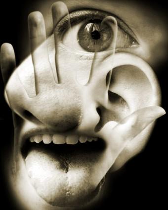 The “Coming to Our Senses” conference explores the range of sensory experience in film and literature.