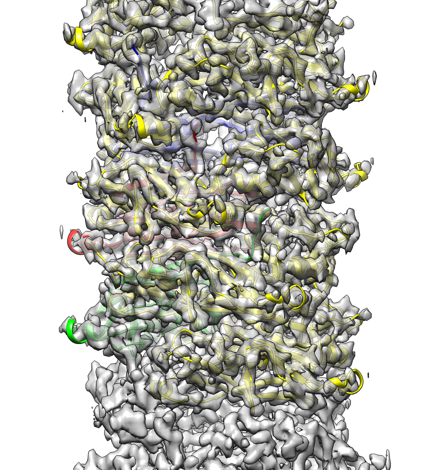 The bacterium responsible for up to 90 percent of urinary tract infections is a form of E. coli.