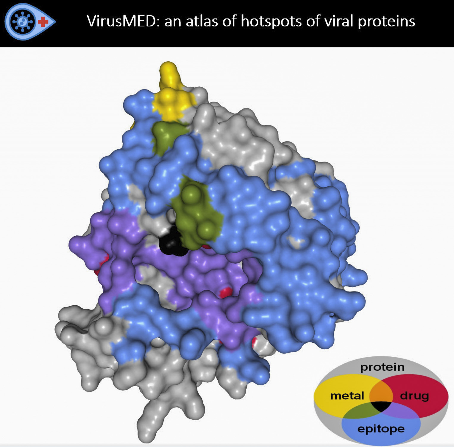 Virus with multiple colors (grey, blue, purple, yellow, green, black, and red) to show hotspots of different virus proteins
